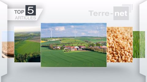 Articles les plus lus sur Terre-net cette semaine (©Terre-net Média) Articles les plus lus sur Terre-net cette semaine (©Terre-net Média)
