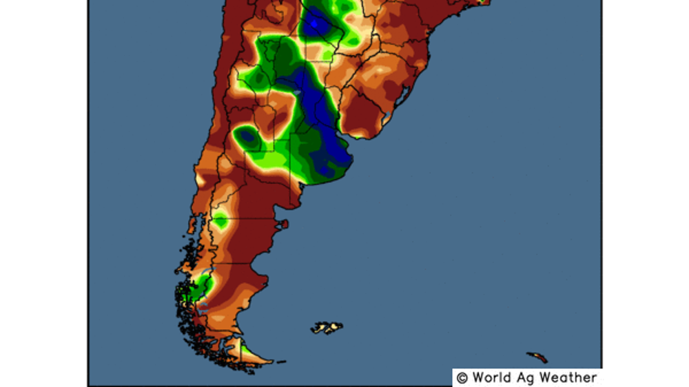 Les pluies se sont densifiées dans les principales zones de production de blé en Argentine. (©WorldAgWeather) Les pluies se sont densifiées dans les principales zones de production de blé en Argentine. (©WorldAgWeather)