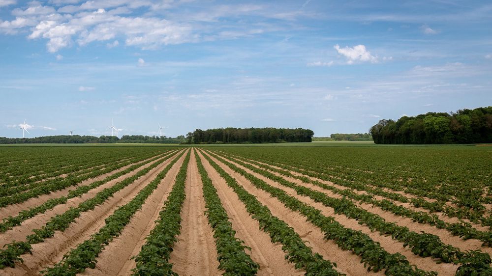 En 2019-2020, deux cas ont engendré un préjudice d'environ 120 000 €, indemnisé par le FMSE et l'ASPDT, note l'UNPT. (©Nadège Petit @agrizoom/<a href="https://franceagritwittos.com/images/" title="Banque d'images FranceAgriTwittos" target="_blank">Banque d'image FranceAgriTwittos</a>)