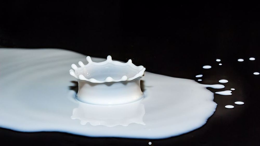 Pour plusieurs groupements agricoles européens, une crise de surproduction pourrait frapper le secteur laitier. (<a href="https://pixabay.com/fr/users/myriams-fotos-1627417/" target="_self">©Myriams-Fotos</a>, AdobeStock)