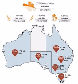 Estimation de la production australienne de cultures d’hiver pour la campagne 2023/24 