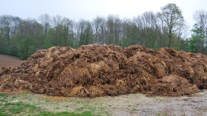 Une carte interactive pour valoriser le fumier équin auprès des agriculteurs