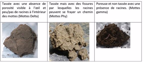 Description des mottes 