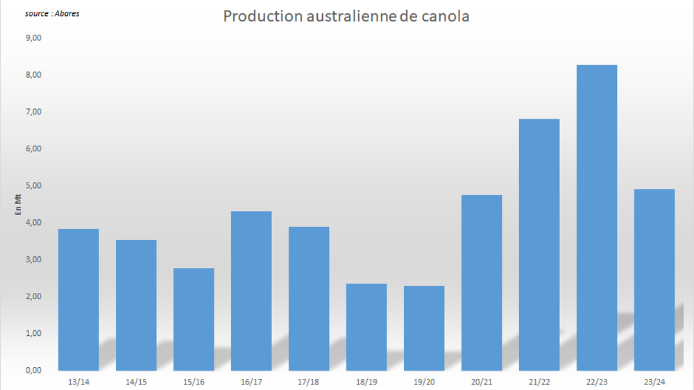 La production australienne de canola risque de décrocher en 2023.