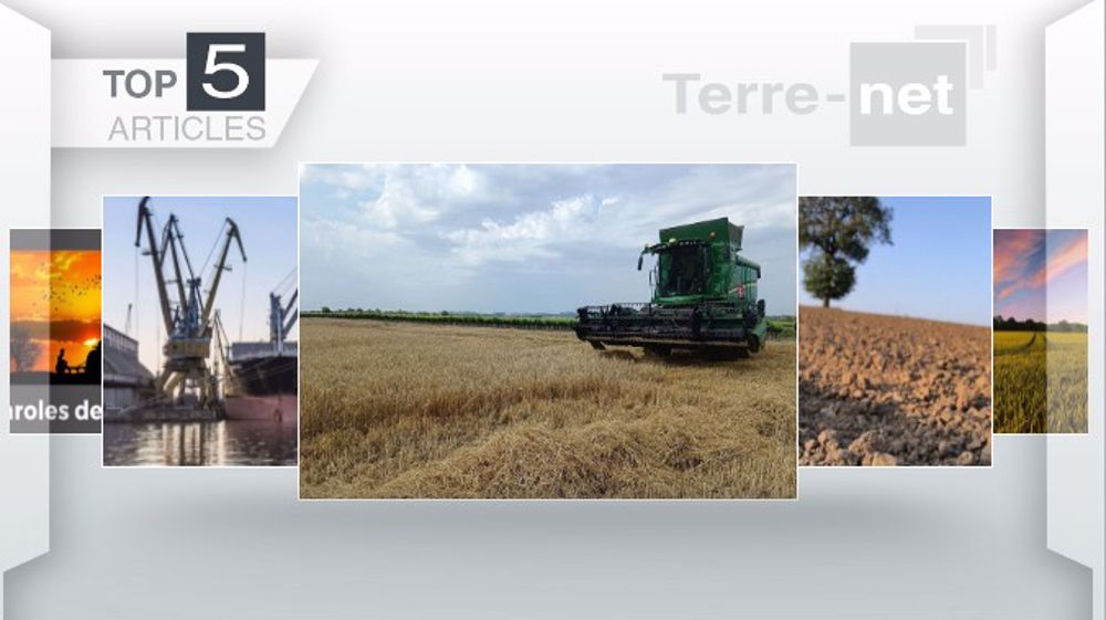 Articles les plus lus sur Terre-net cette semaine. (©Terre-net Média)