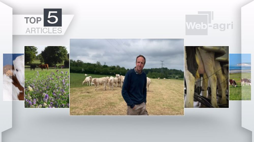 Articles les plus lus sur Web-agri cette semaine. (©Terre-net Média)