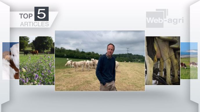 Articles les plus lus sur Web-agri cette semaine. (©Terre-net Média)