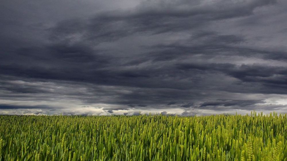 Les orages du week-end se sont avérés insuffisants pour combler les déficits hydriques. (©Pixabay)