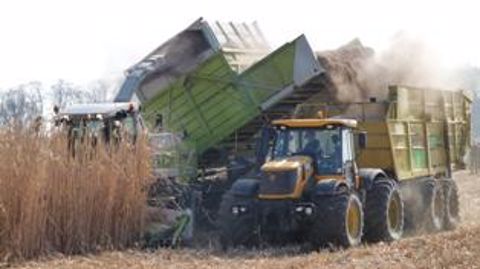 Récolte de miscanthus sec en ensilage. (© Terre-net Média) Récolte de miscanthus sec en ensilage. (© Terre-net Média)