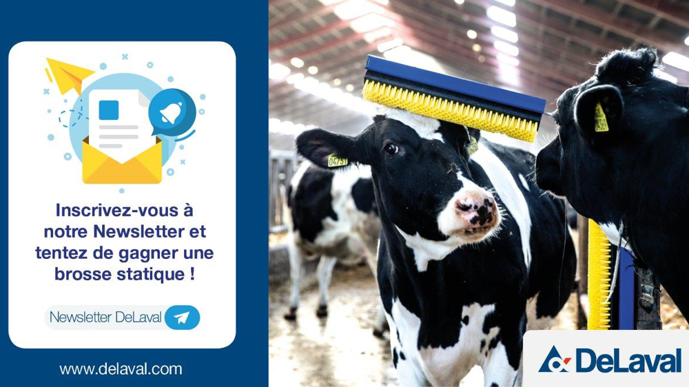 Gagnez une brosse statique pour vos vaches Gagnez une brosse statique pour vos vaches
