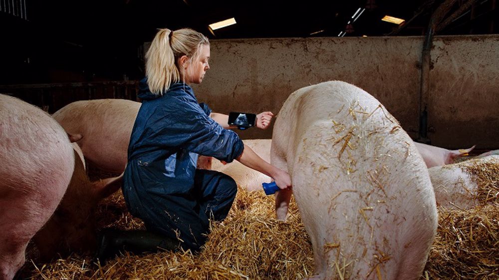 Comment bien réaliser ses échographies ?