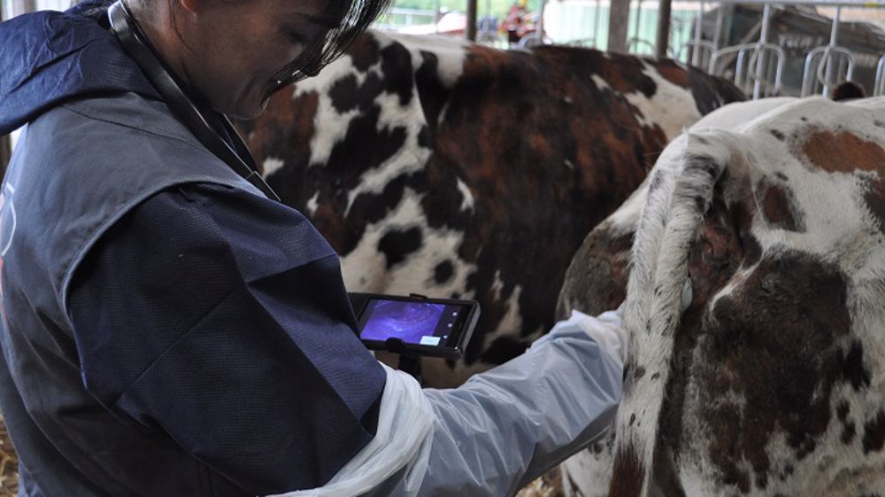 Comment les faire moi-même ?