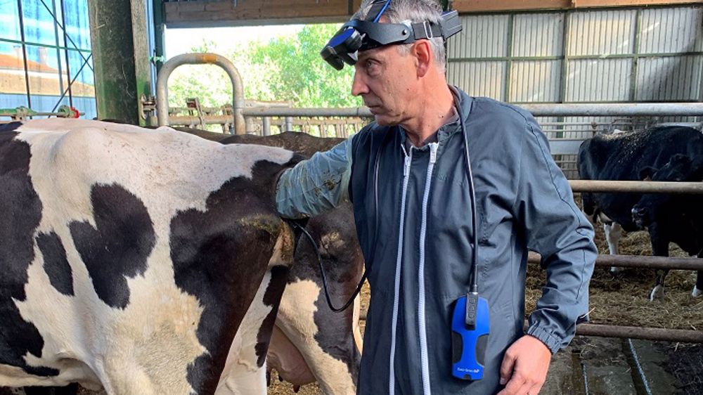 Gagnez en visibilité grâce à l’échographie