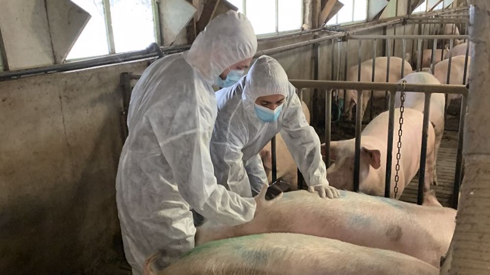 Améliorer sa pratique de l'échographie