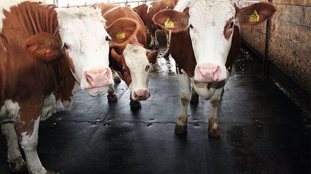 Du confort même debout 