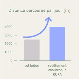 Distance parcourue par jour
