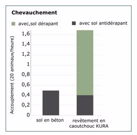 Chevauchement