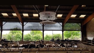 Des ventilateurs adaptés à chaque bâtiment : Cyclone 360 52 et 72 pouces Des ventilateurs adaptés à chaque bâtiment : Cyclone 360 52 et 72 pouces