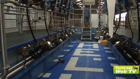 Nathalie Boucard (éleveuse) : « Les vaches ne retiennent pas. Il n’y a pas moyen de les faire coller ! » Nathalie Boucard (éleveuse) : « Les vaches ne retiennent pas. Il n’y a pas moyen de les faire coller ! »
