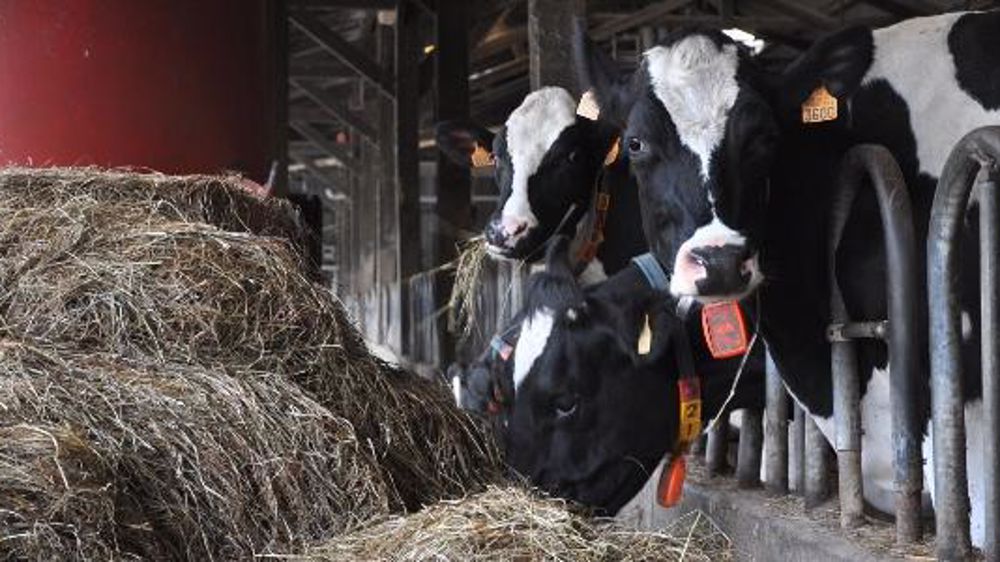 Des fibres, des fibres, et encore des fibres ! (©Terre-net Média)