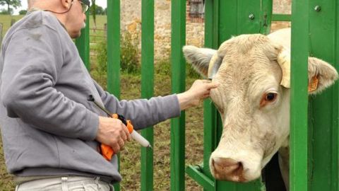 Intervention au cœur du Charolais Intervention au cœur du Charolais
