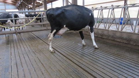 Les tapis en caoutchouc évitent glissades et blessures