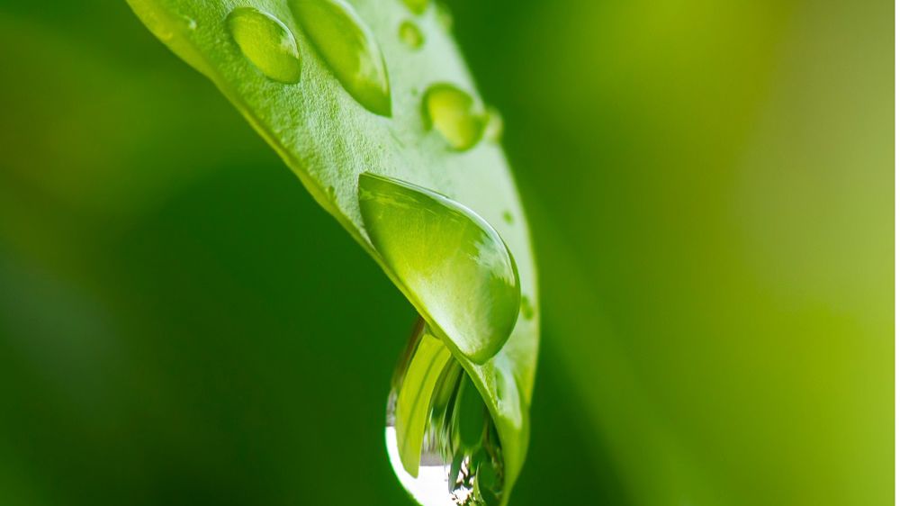 Elicit Plant est en phase avec le plan eau du Gouvernement