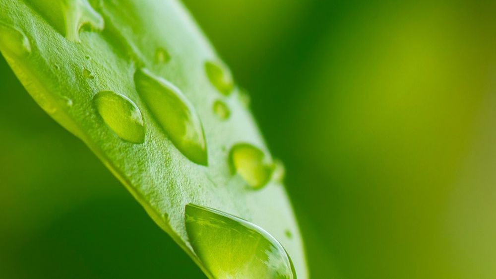 Gestion des ressources naturelles