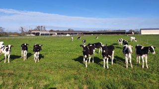 Avant de pouvoir sélectionner les vaches laitières sur leur capacité à résister au stress thermique, il faut déjà viser une plus grande robustesse par les critères de santé et de repro. Avant de pouvoir sélectionner les vaches laitières sur leur capacité à résister au stress thermique, il faut déjà viser une plus grande robustesse par les critères de santé et de repro.