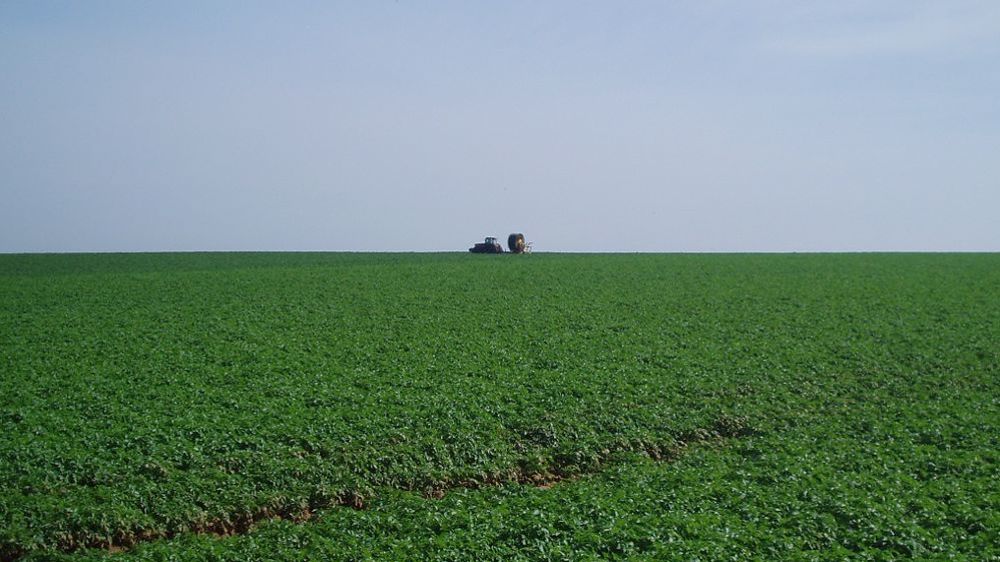 La fermeture du site de transformation de la pomme de terre fécule à Haussimont dans la Marne est envisagé.