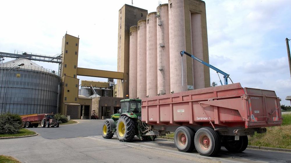 Avantages des coopératives agricoles pour les jeunes agriculteurs
