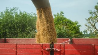 Pour le stockage des céréales à la ferme, deux solutions : les cases à plat ou les cellules. Pour le stockage des céréales à la ferme, deux solutions : les cases à plat ou les cellules.