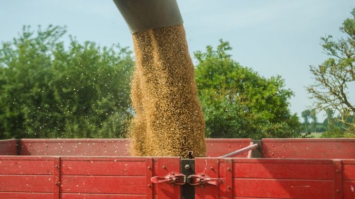 Pour le stockage des céréales à la ferme, deux solutions : les cases à plat ou les cellules. Pour le stockage des céréales à la ferme, deux solutions : les cases à plat ou les cellules.