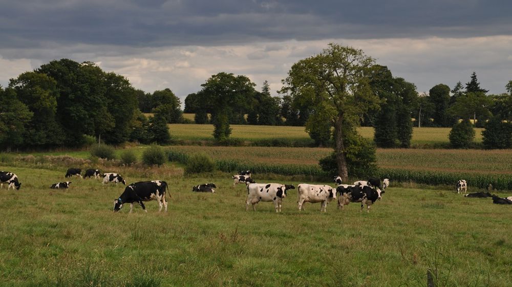 La trajectoire agroécologique permettrait d'agir positivement sur 10 des 15 indicateurs socio-économiques et environnementaux cartographiés par la FNH dans une boussole de la durabilité.