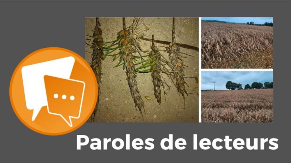 Paroles de lecteurs sur la moisson 2023