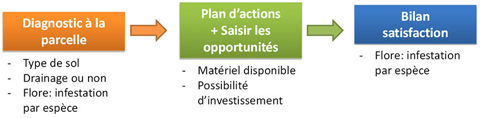 Schéma plan d'action pour désherbage