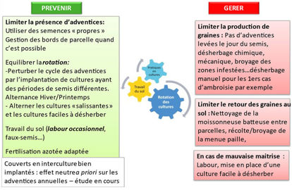 Combinaison des leviers pour la gestion des adventices