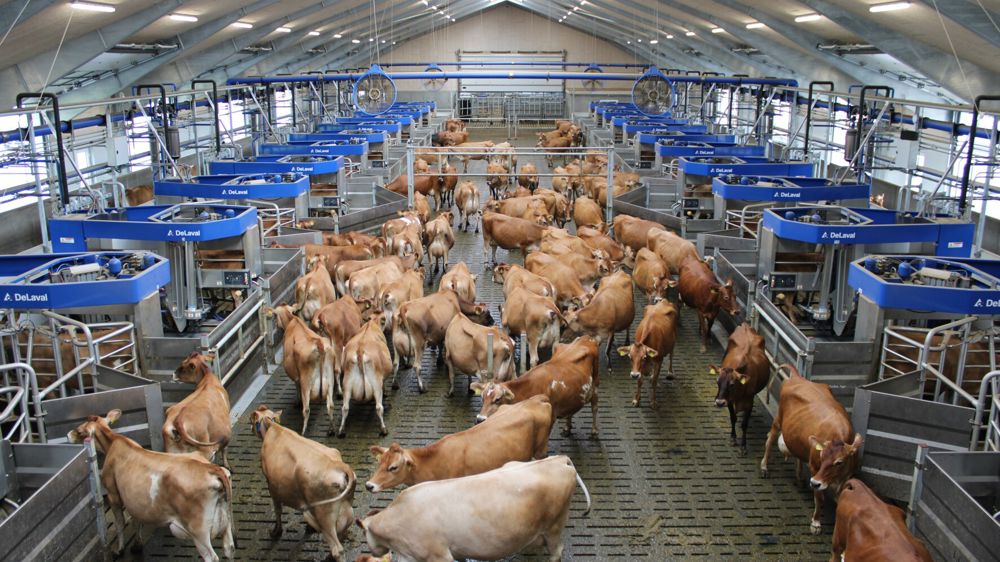 Robots de traite Delaval