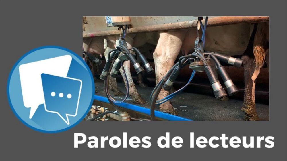 Vers une hausse de la demande mondiale de produits laitiers  qu