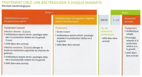Analyse bactériologique du lait Analyse bactériologique du lait