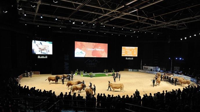 Les concours bovins se déroulent dans le Zénith d'Auvergne, ainsi que dans les hall 3 et 4.