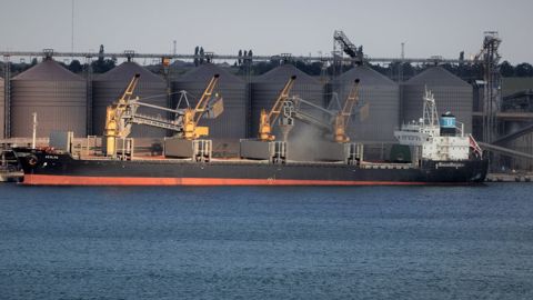 Les pays voisins de Kiev sont devenus incontournables pour le transit des céréales ukrainiennes vers l'Afrique et le Moyen-Orient.