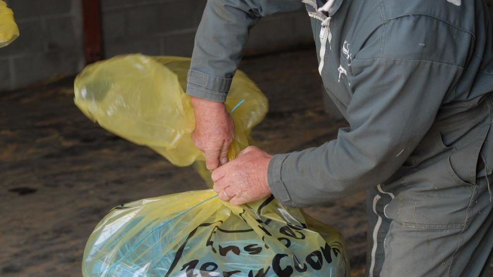 Agriculteur trieur  mise en sac des plastiques