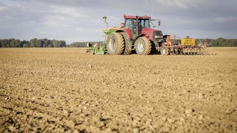 Un décalage de 15 à 20 jours par rapport à un semis le 1er octobre réduit la population de vulpins d’environ 50 %, rappellent les équipes Arvalis. Un décalage de 15 à 20 jours par rapport à un semis le 1er octobre réduit la population de vulpins d’environ 50 %, rappellent les équipes Arvalis.