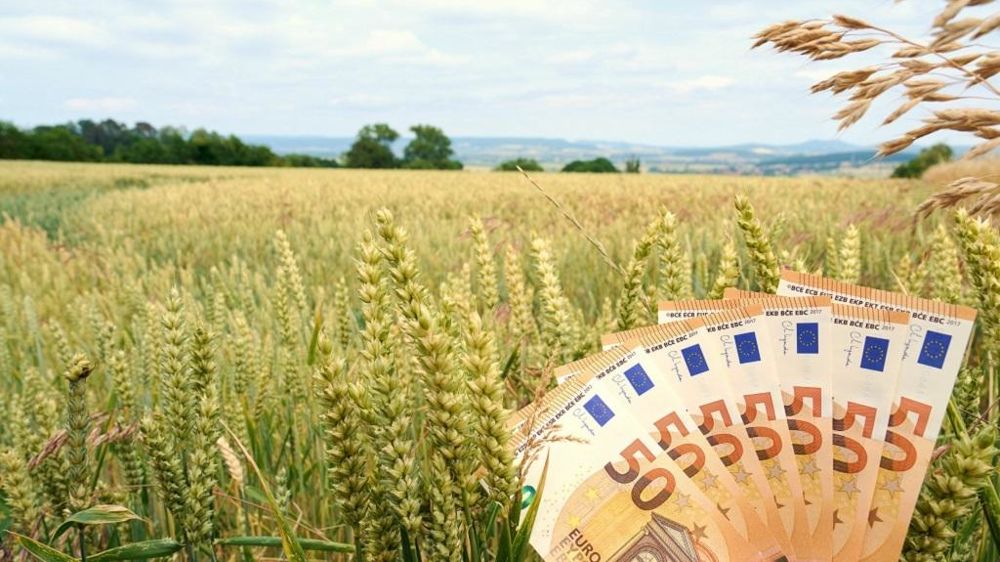 Billets devant un champ de céréales