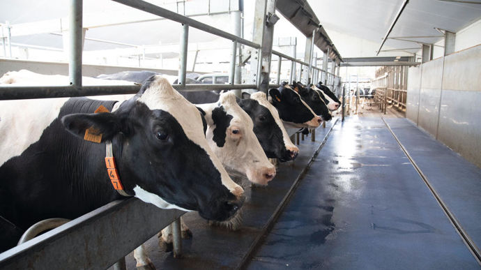 Particularité du XpressWay 3.0 : l'utilisation d'un entrainement non électrique