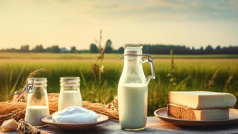 Produits laitiers et céréales devant un champ