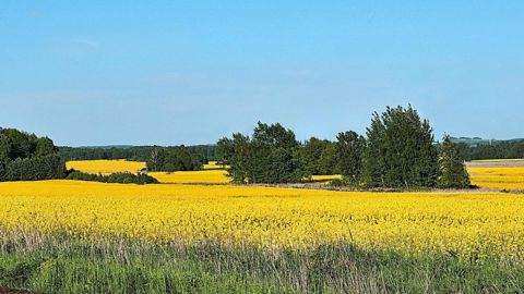Le gouvernement a réuni les différents acteurs des biocarburants pour lancer une réflexion sur l'accompagnement des filières