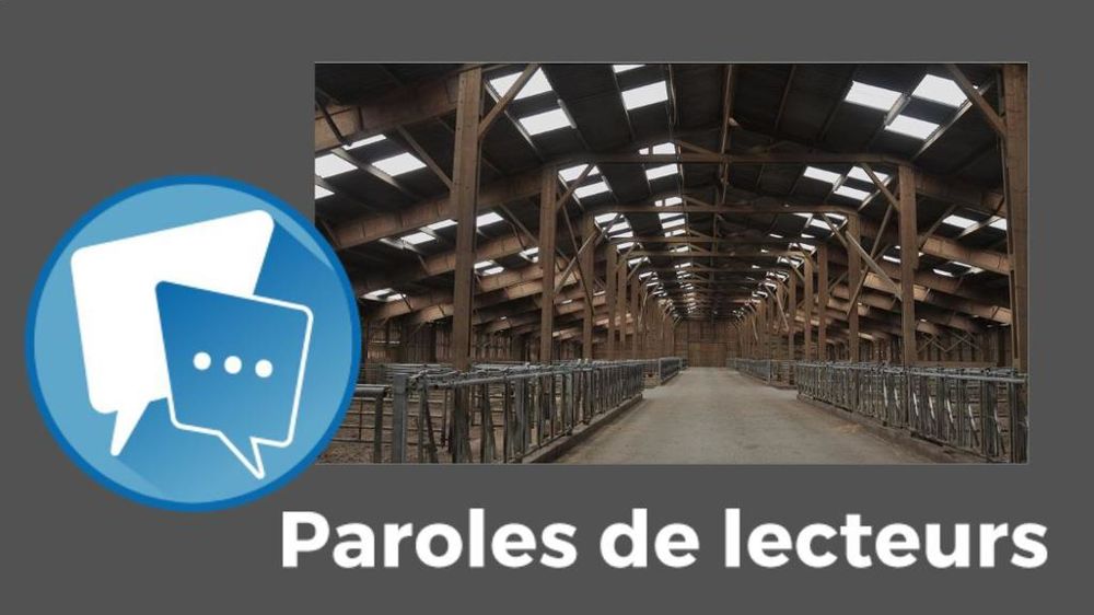 Paroles de lecteur décapitalisation du cheptel bovin