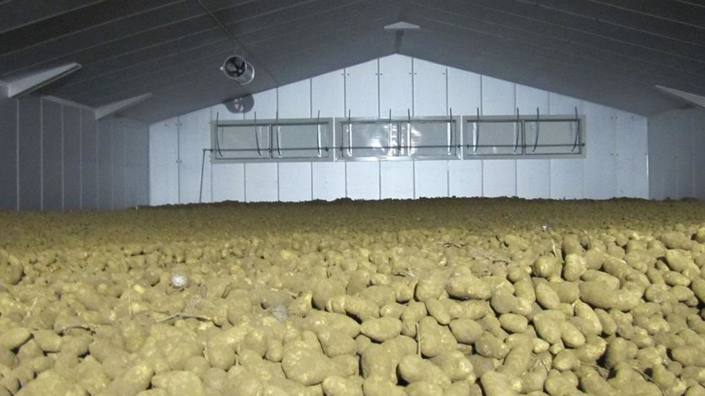 Bâtiment de stockage de pommes de terre
